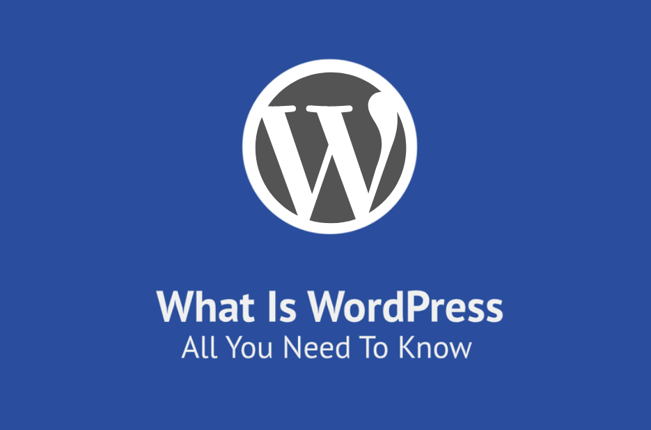 What is WordPress? Why It’s a Perfect Platform to Build Your Website